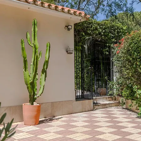 In Elviria, 别墅 马尔韦利亚